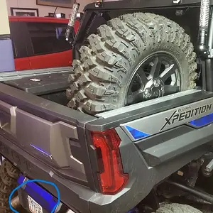 lic plate.jpg