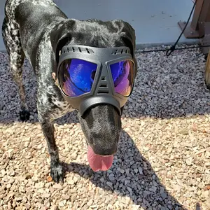 Goggles 1.jpg