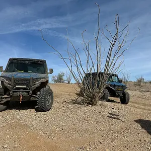 Lake Havasu at Spider.webp