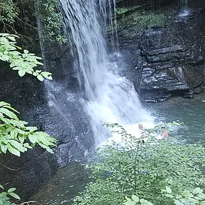 1000007496.webp