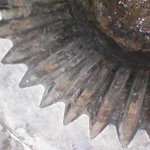 Image_2025-12-18 20_14_21_279.webp