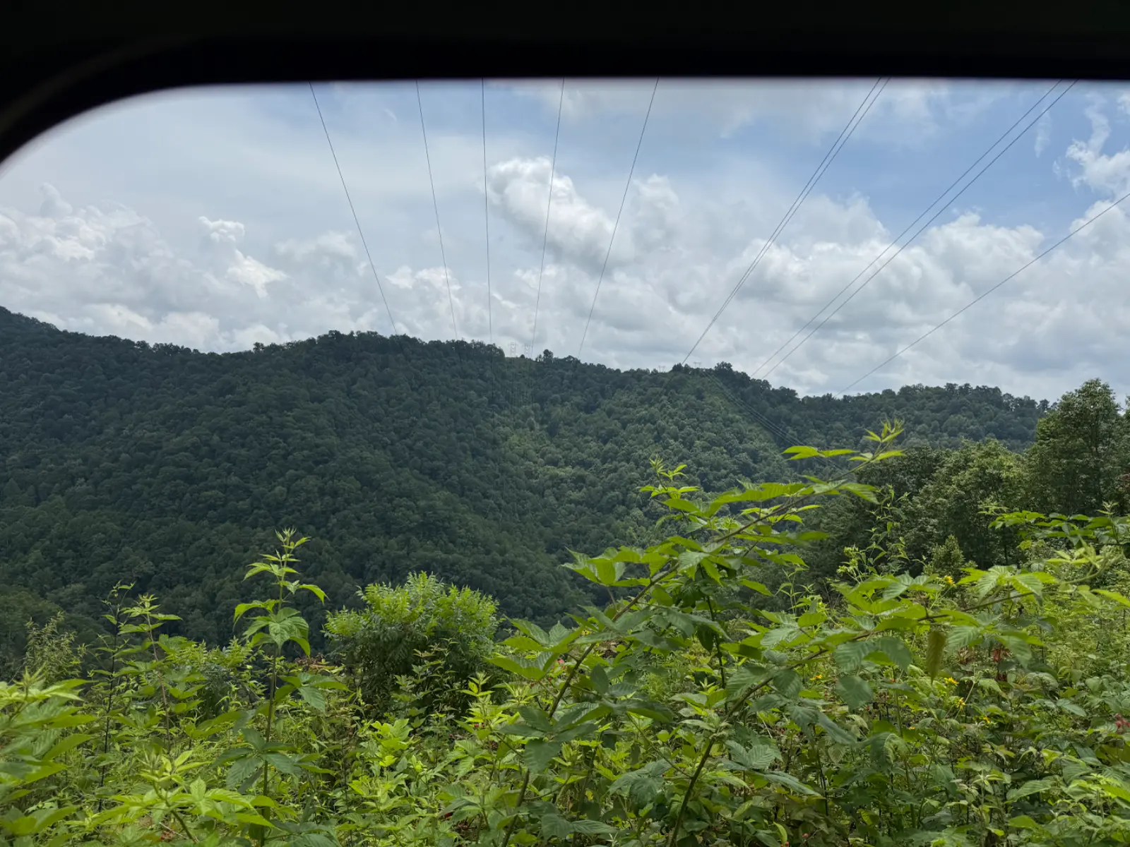 IMG_2525.webp