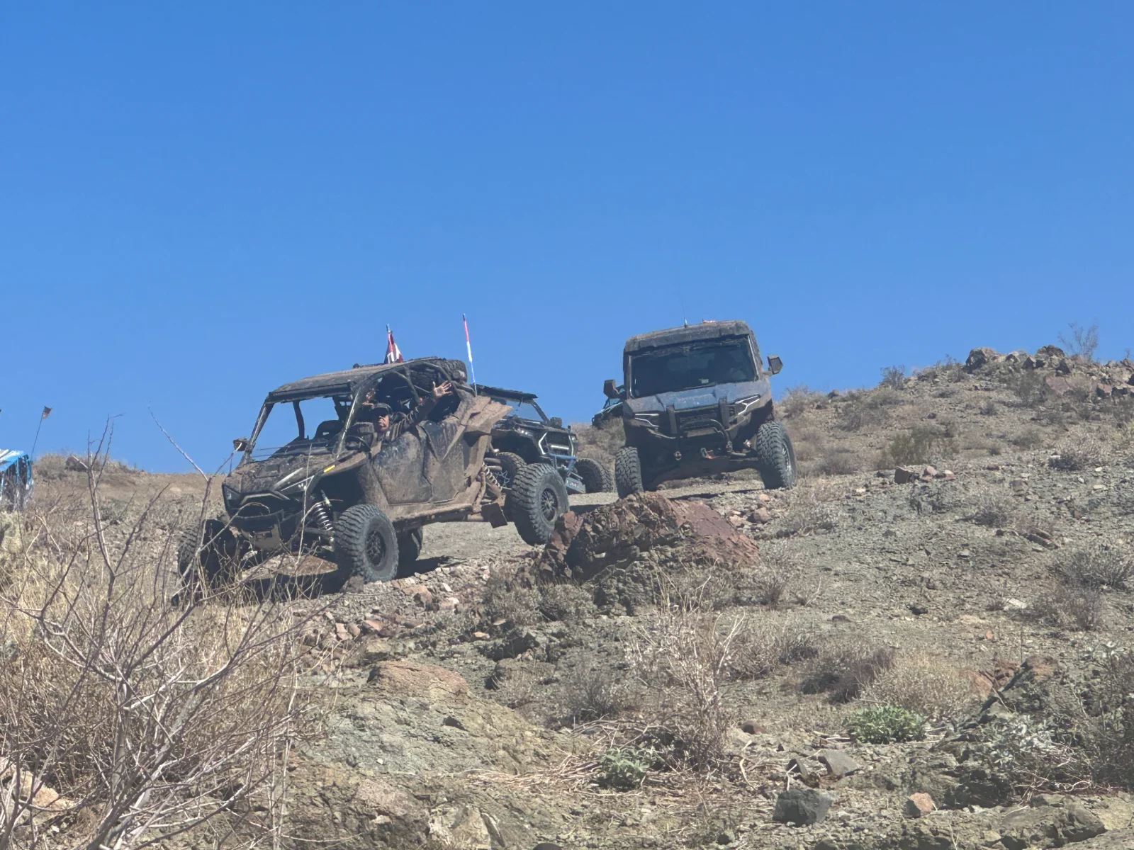 Lake Havasu.webp