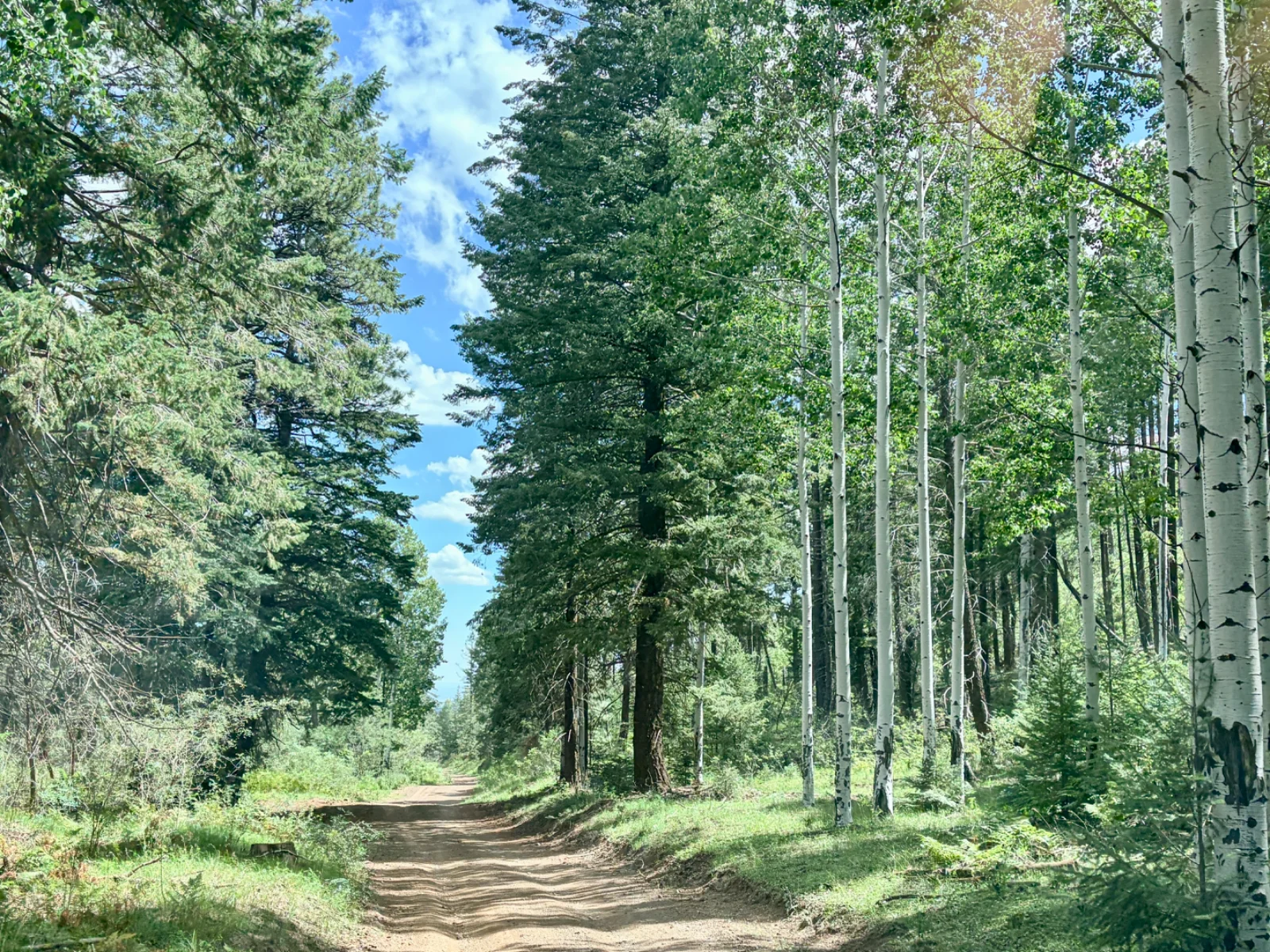 Photo Aug 18 2026, 10 50 04 AM.webp